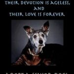 Adopt A Dog Quotes