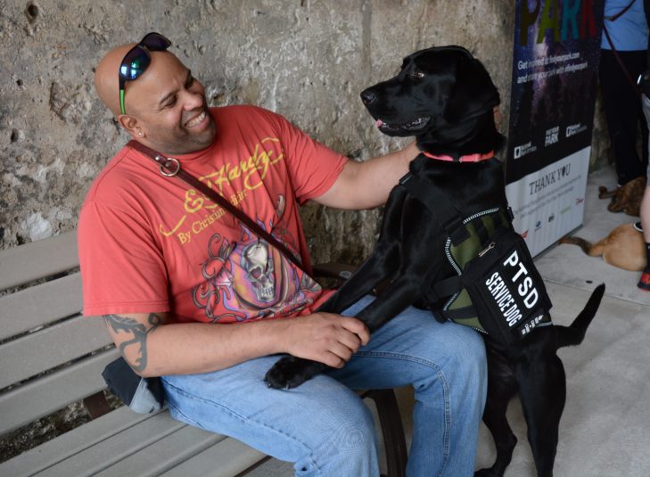 A Beginners Guide To Life With A Service Dog