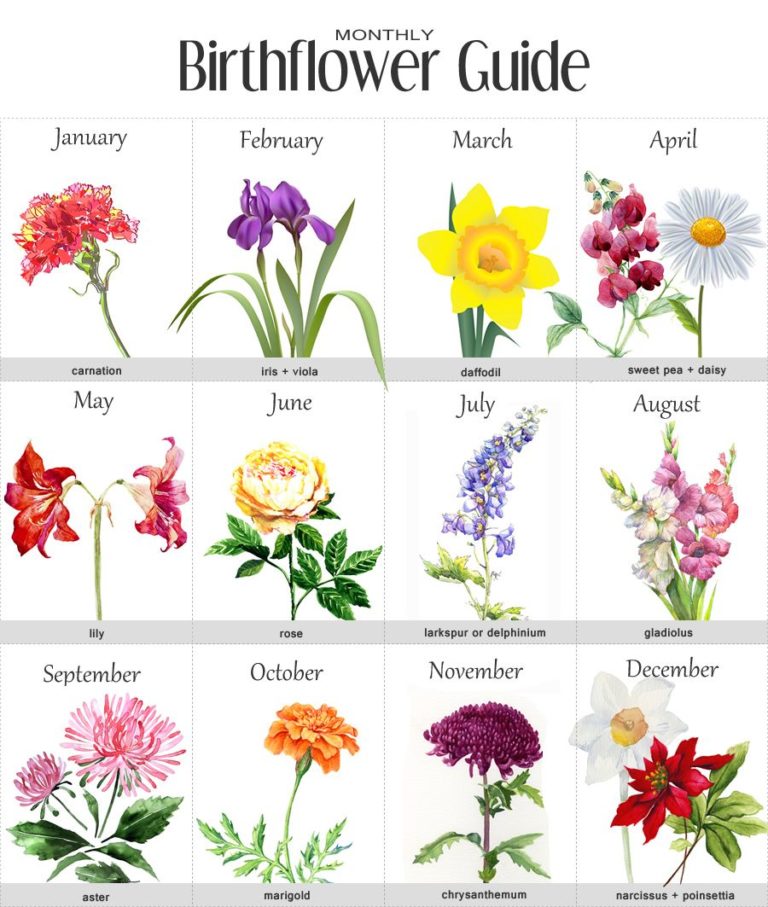 Birth Month Flowers