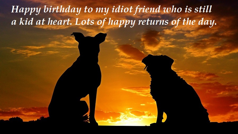 Birthday Quotes For Friend – VitalCute