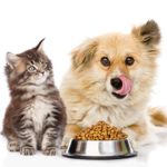 The Truth About Cat and Dog Food