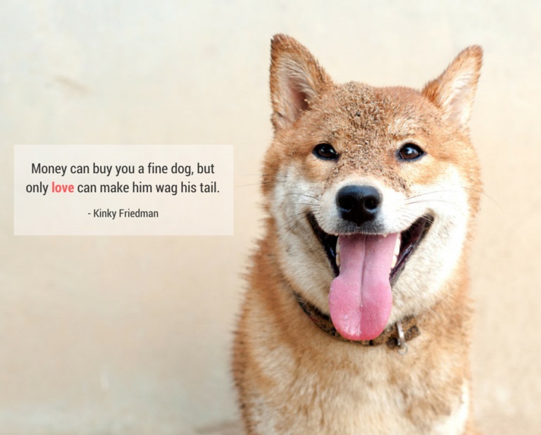 19 Cute And Sweet Dog Quotes