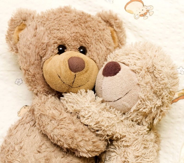 Cute Teddy Bear Pictures