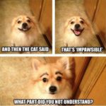 18 Dog And Cat Funny Quotes