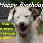 Dog Birthday Quotes