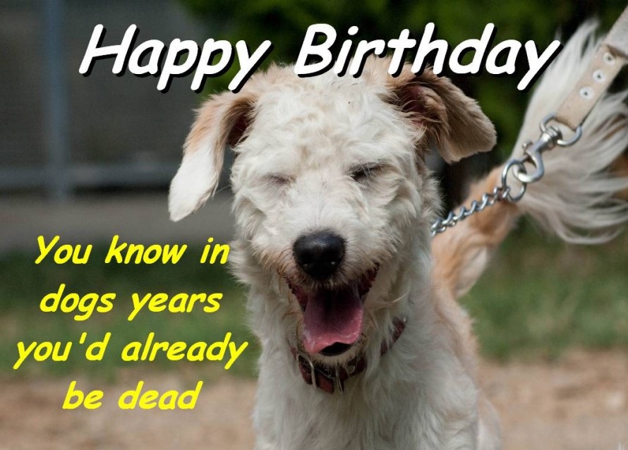 Dog Birthday Quotes