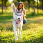 Best Dog Breeds For People With An Active Lifestyle