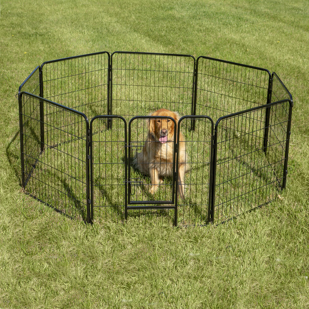 History of the Dog Fence
