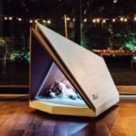 16 Exclusive Dog House Design