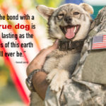 16 Attractive Dog Quotes