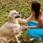 Dog Training For The Holidays and Safety Reminders
