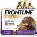 How Long Does it Take Frontline Plus To Work?