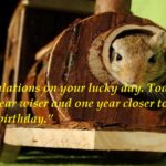 17 Funny Birthday Wishes for Colleagues