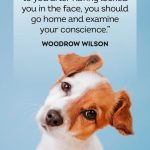 Funny Dog Quotes Part Two