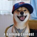 Funny Dogs With Quotes