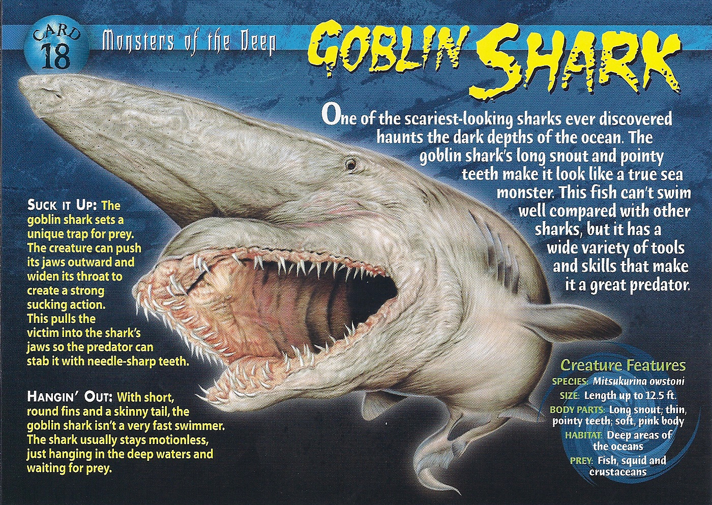 Goblin Shark Pictures