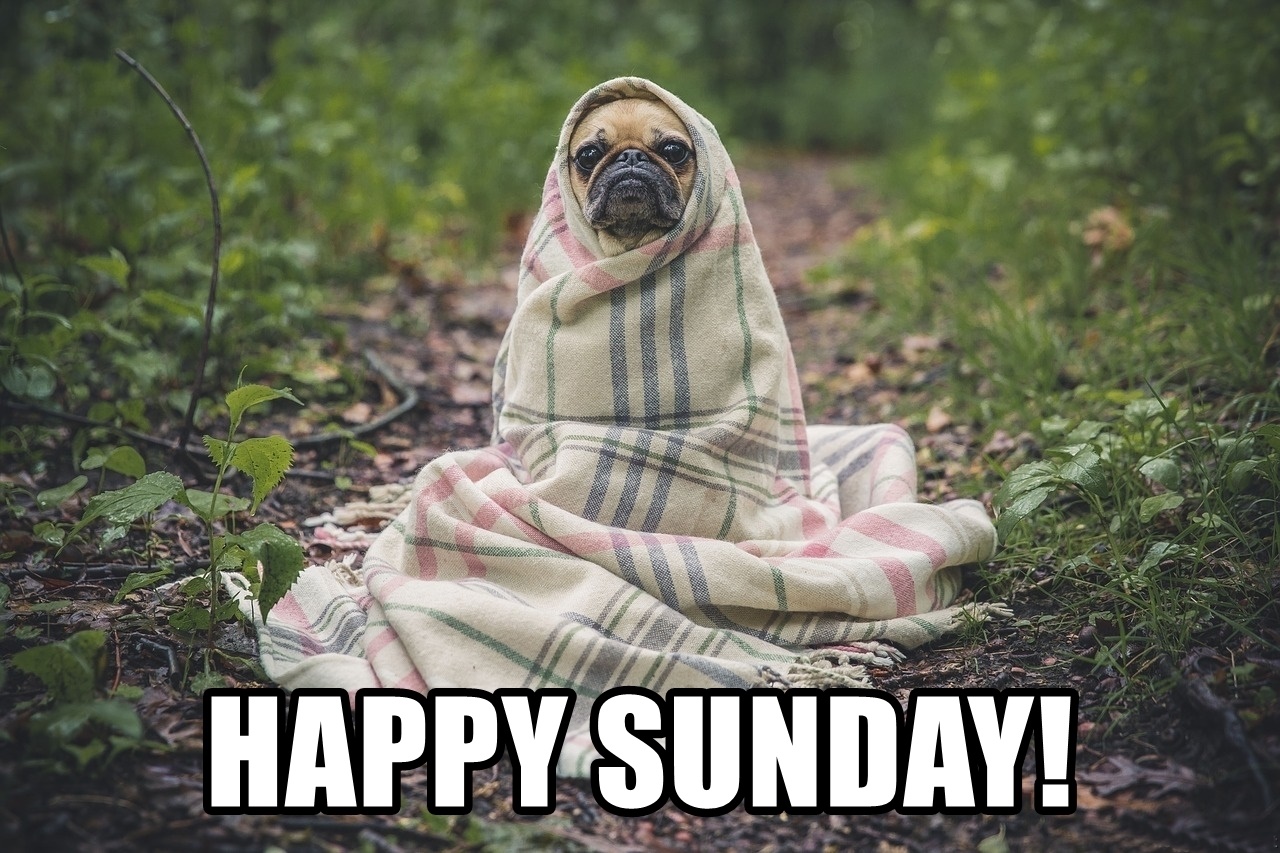 Happy Sunday Funny Memes