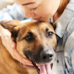How to Keep Your Dog Calm After Surgery