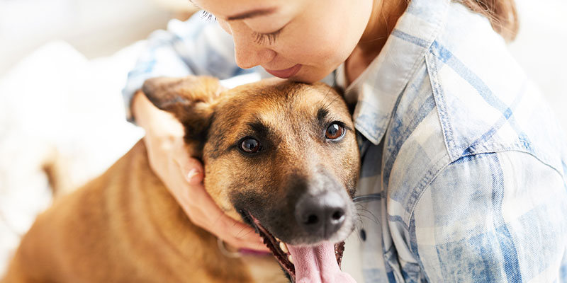 How to Keep Your Dog Calm After Surgery