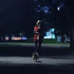 How to Safely Walk Your Dog at Night