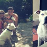 Isaac & Jenni-Ann’s Pet Adoption Story