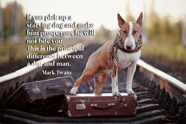 Mark Twain Quotes About Dogs