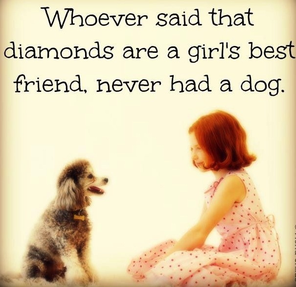 17 Beautiful Quotes About Dogs And Friendship