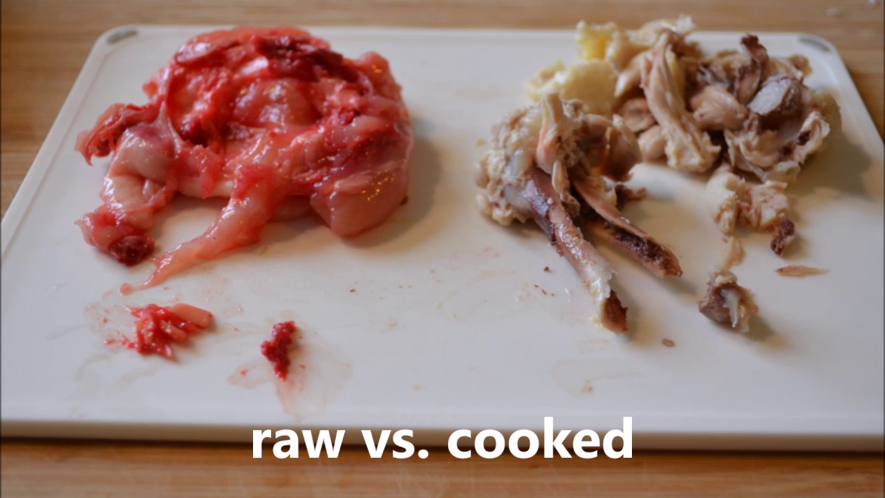 Can Dogs Eat Bones? Raw & Cooked Bones for Dogs