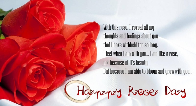 15 Cute Rose Day Messages