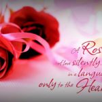 14 Romantic Rose Day Quotes