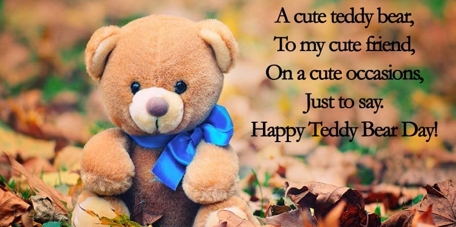 17 Best Teddy Bear Quotes