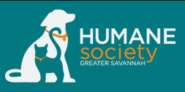 How to Adopt – The Humane Society for Greater Savannah