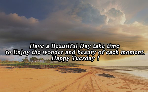 Beautiful Tuesday Quotes