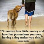 20 Unconditional Dog Love Quotes